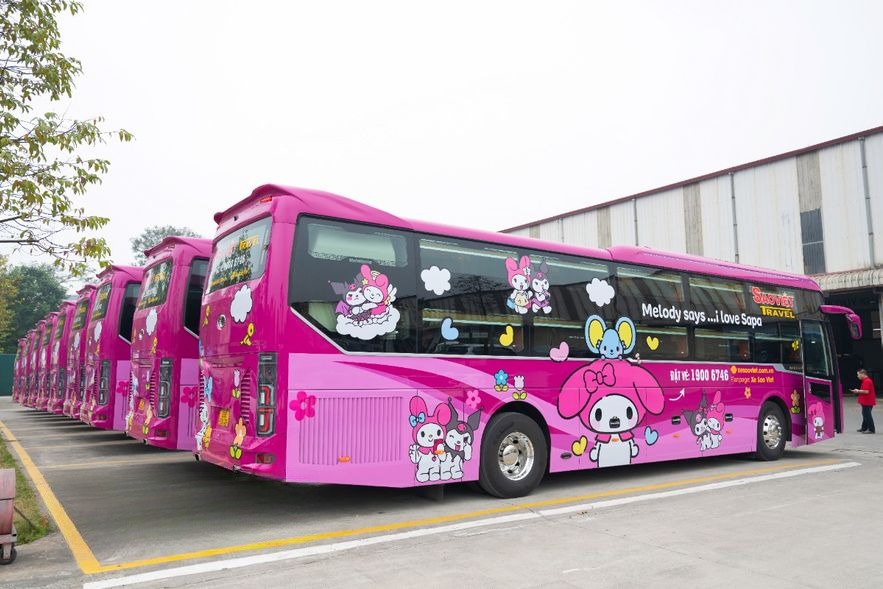 Xe Sao Việt Mặt sau xe Bên hông xe Limousine giường phòng 21 chỗ (WC Hồng)
