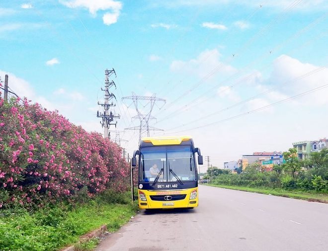 Xe Thành Luân Mặt trước xe Giường nằm 41 chỗ