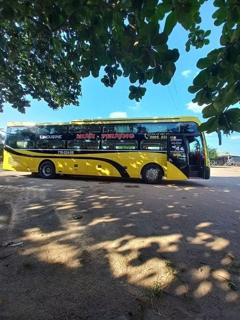 Xe Mười Phượng Bên hông xe Giường nằm 36 chỗ