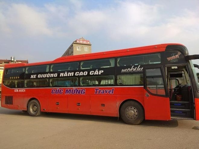 Cúc Mừng
