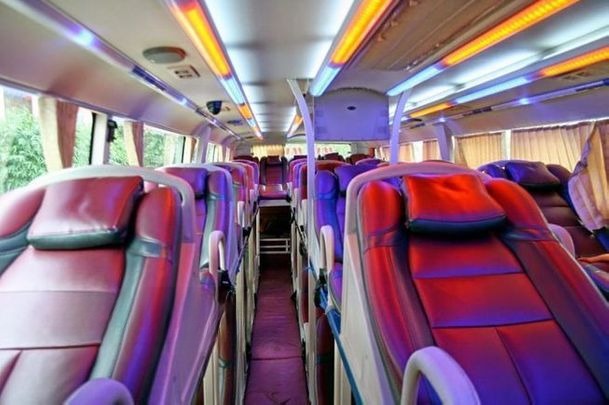 Giường nằm 42 chỗ Tổ Ong Trips