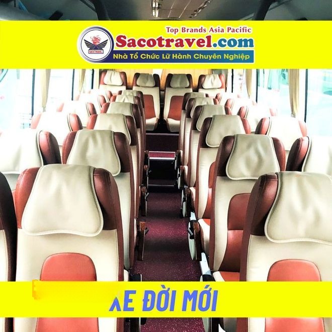 Xe Saco Travel Ghế ngồi Nội thất Ghế ngồi 45 chỗ 