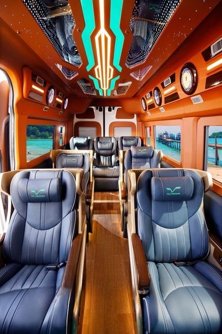 Vie Limousine