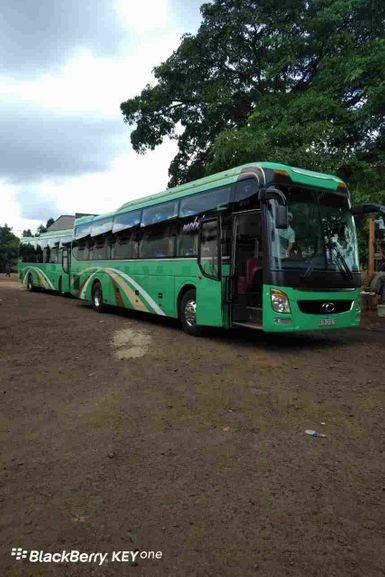 Xe Lovabus Bên hông xe Mặt trước xe Giường nằm 44 chỗ