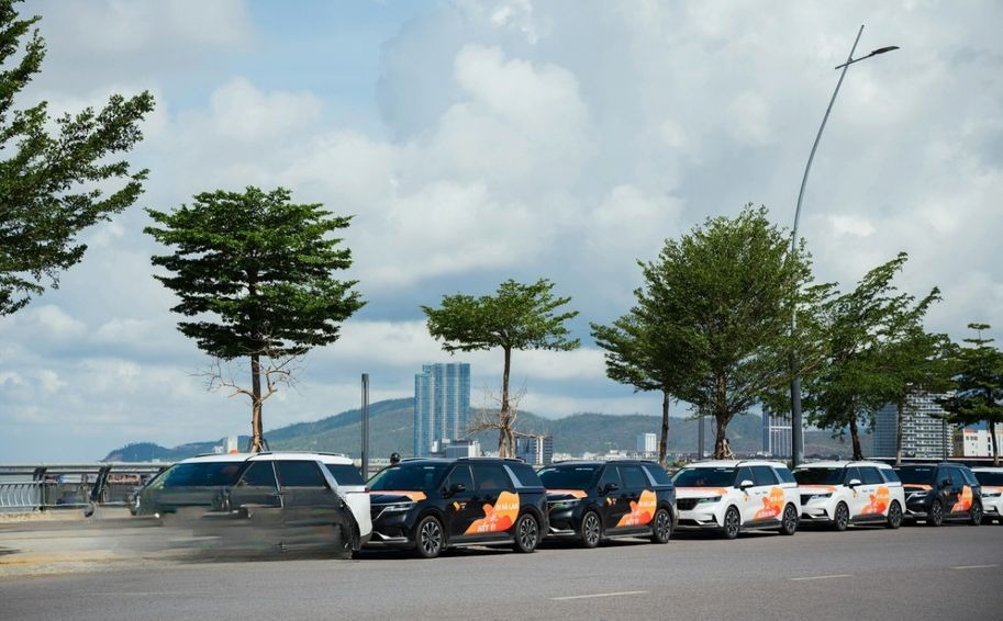 Xe Hà Lan Transport Mặt trước xe Xe 6 chỗ