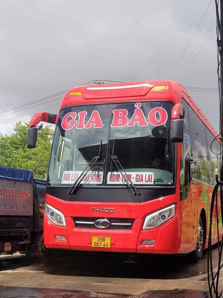 Gia Bảo