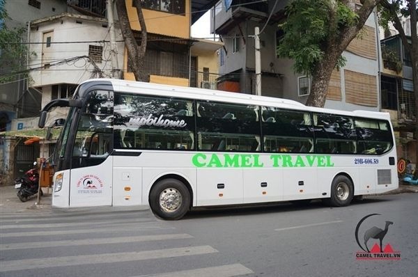 Xe Camel Travel Bên hông xe Limousine 32 giường