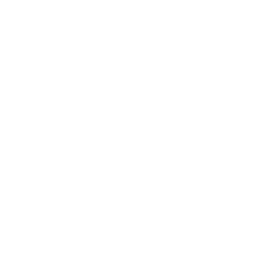 Varsity Hype Logo