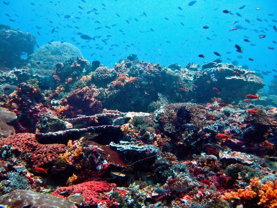 Penyewaan Rumah Liburan di Nusa Lembongan