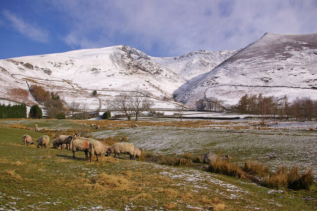 Last minute cottages in Threlkeld