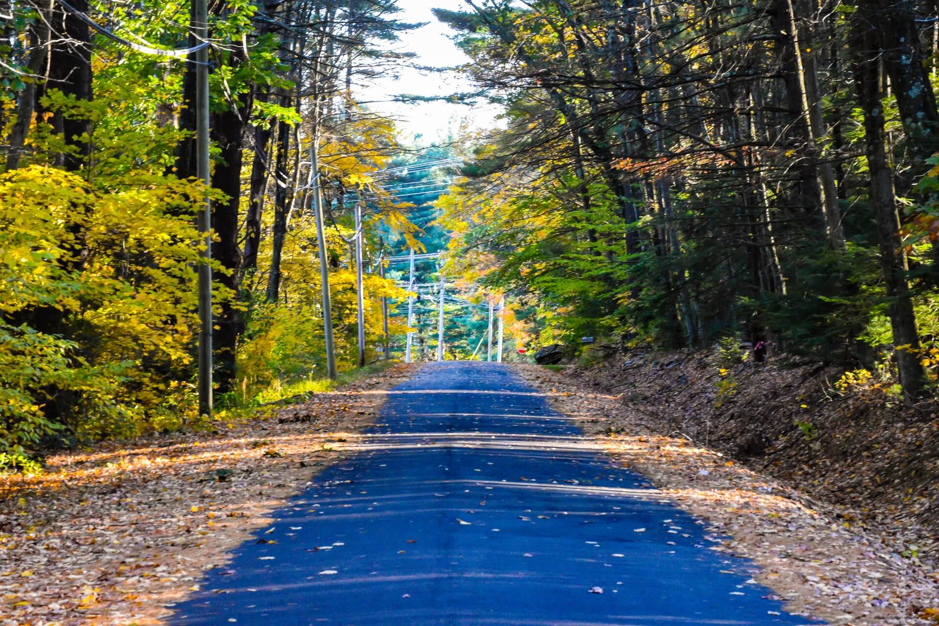 Cabins in Connecticut