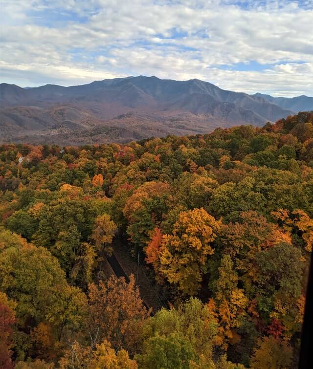 Cabins in Gatlinburg