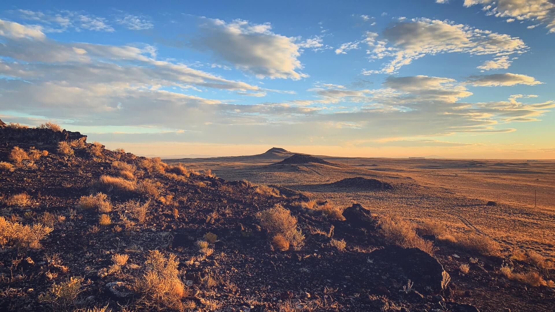 RVs in New Mexico