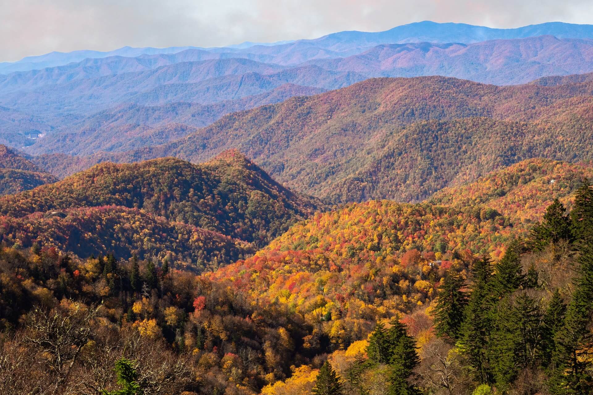 Cabins in Sylva