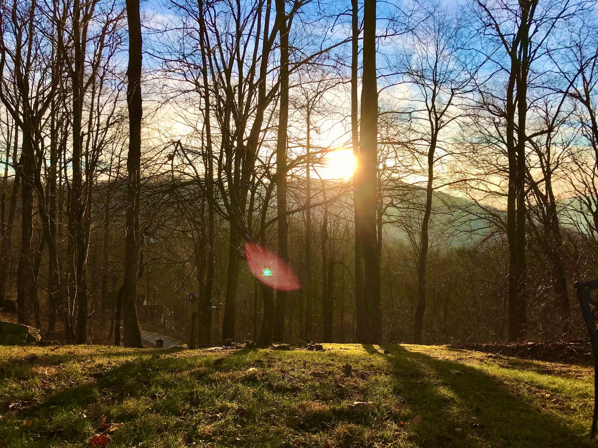 Cabins in Waynesville