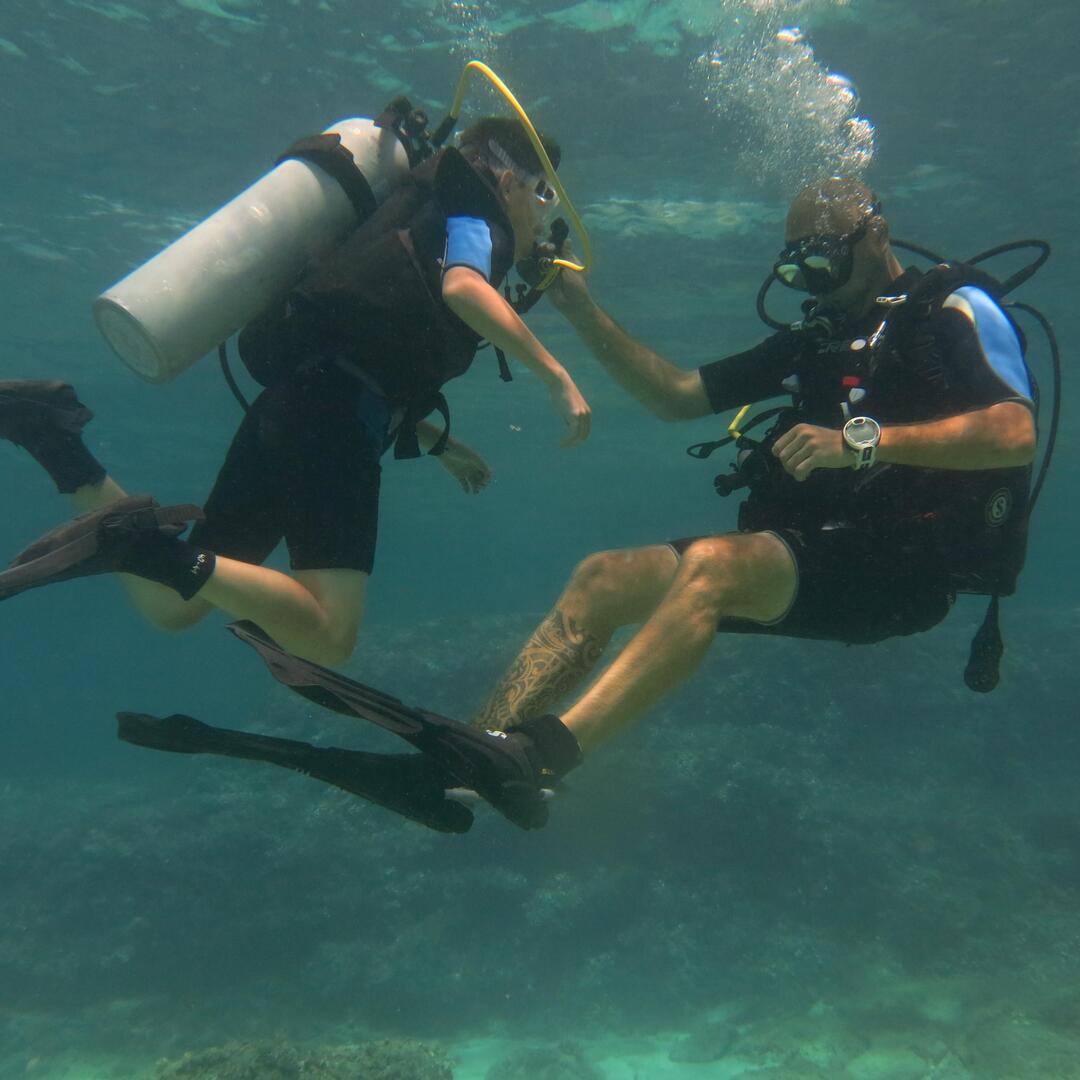 Mallorca: prueba el buceo en una hermosa reserva natural
