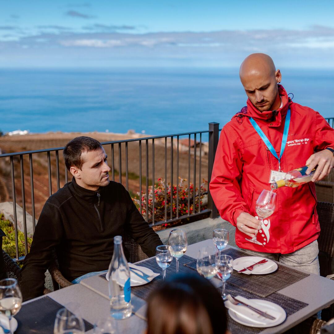 Excursión privada al Teide y Tenerife norte con comida y degustación de vinos