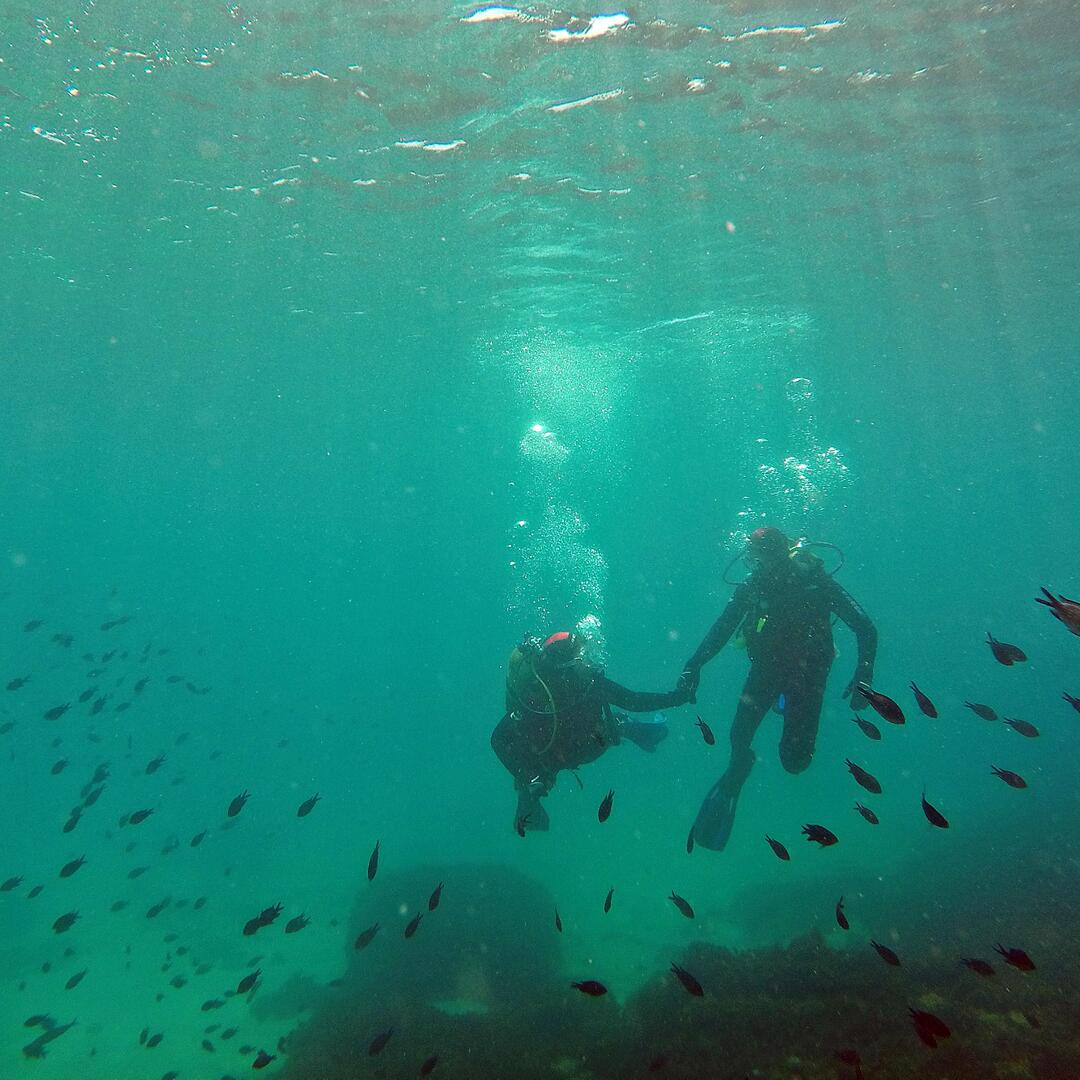 Bautismo de buceo en el Parque natural del Estrecho