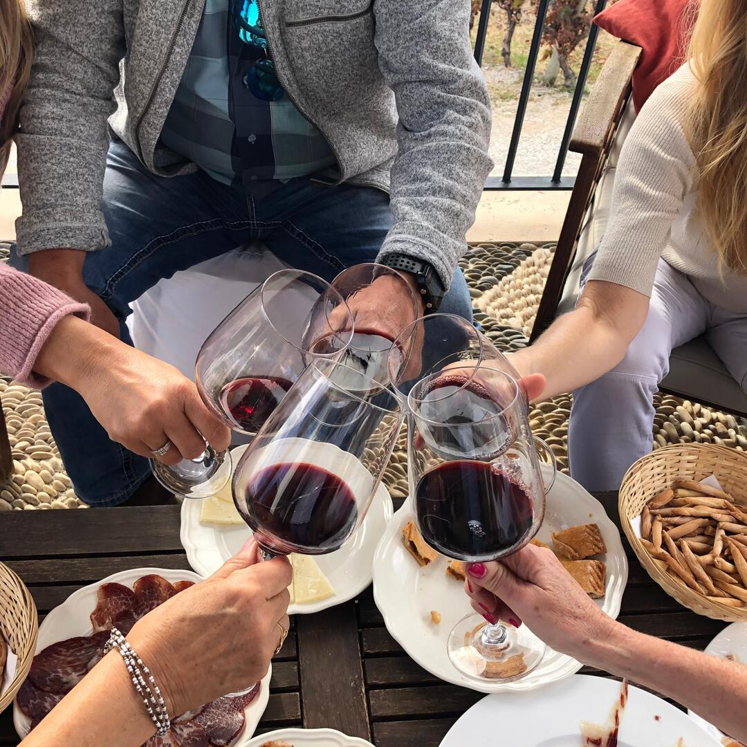 VIP Ronda Wine Tour y degustación y experiencia de almuerzo gourmet con enólogo