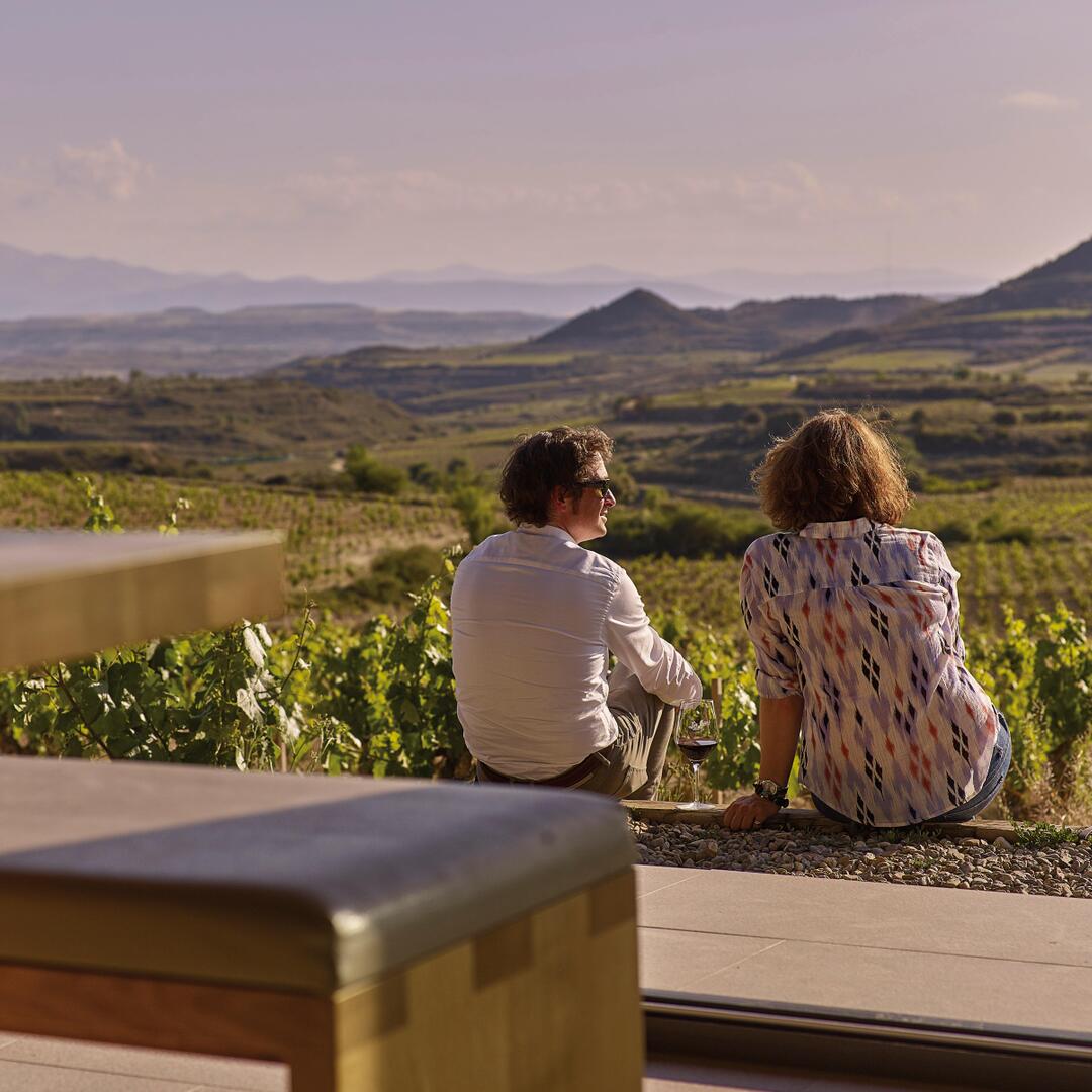 Tour enológico : bodega y almuerzo tradicional desde La Rioja