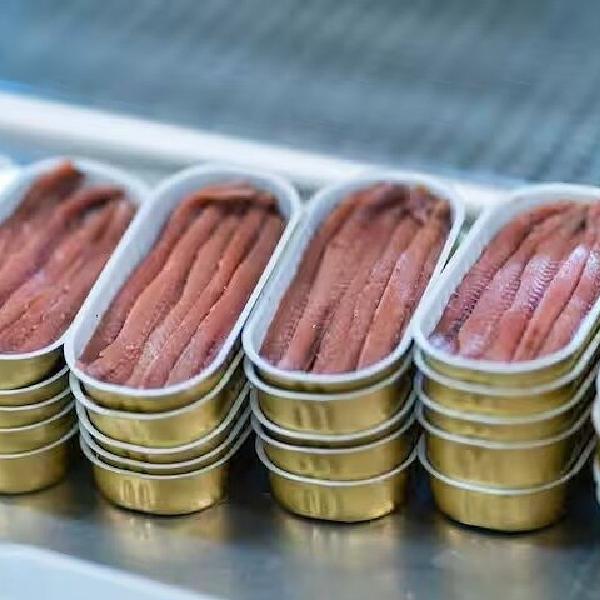 Visita y degustación 5Ñ de Santoña | MEJORES ANCHOAS SANTOÑA 2026