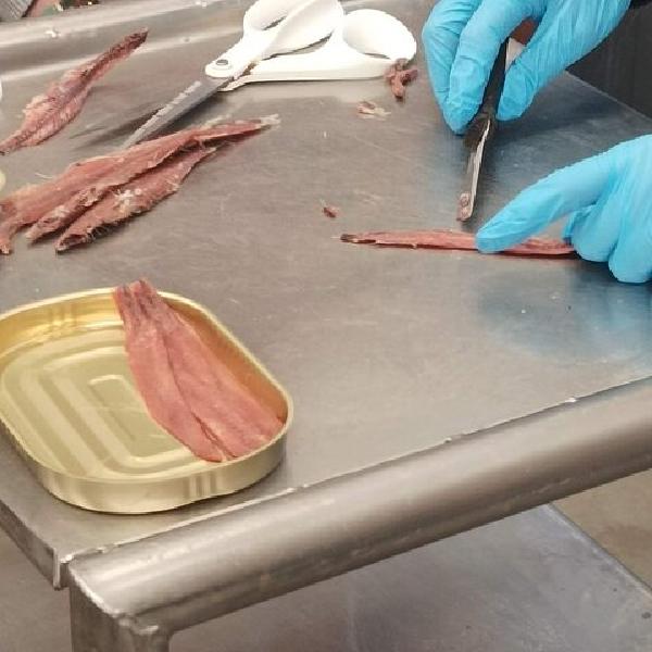 Tour a la Fábrica Anchoas y Marismas de Santoña con Degustación