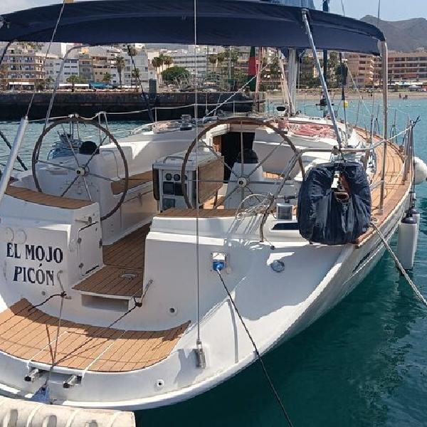 Excursión en velero de Delfines y Ballenas en Los Gigantes
