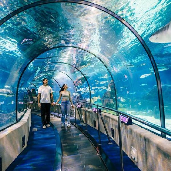 Barcelona City Tour Hop-On Hop-Off y Acuario en Barcelona