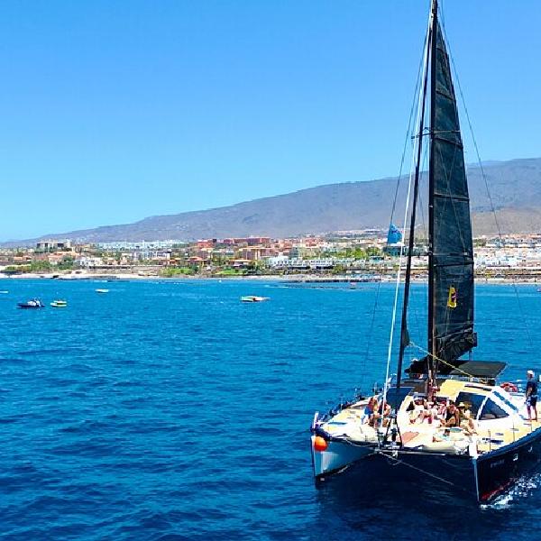 Avistamiento de ballenas en Tenerife: Catamarán exclusivo para adultos con ambiente relajado en Tenerife