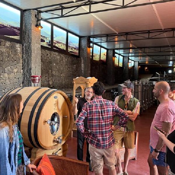 Bodega Familiar Lanzarote : Tour de Flujo de Lava y Cata de Vinos en Lanzarote