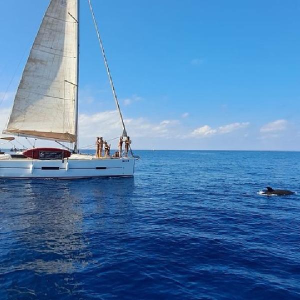 Aventura en Velero: Navegación, Delfines y Relax con Bebidas en Málaga