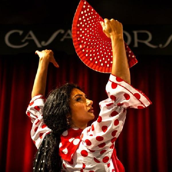Barcelona Premium Flamenco Show : Museo de Tapas, Cóctel y Guitarra en Barcelona