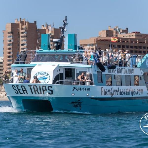 Avistamiento de delfines en un Catamarán en Fuengirola en Marbella