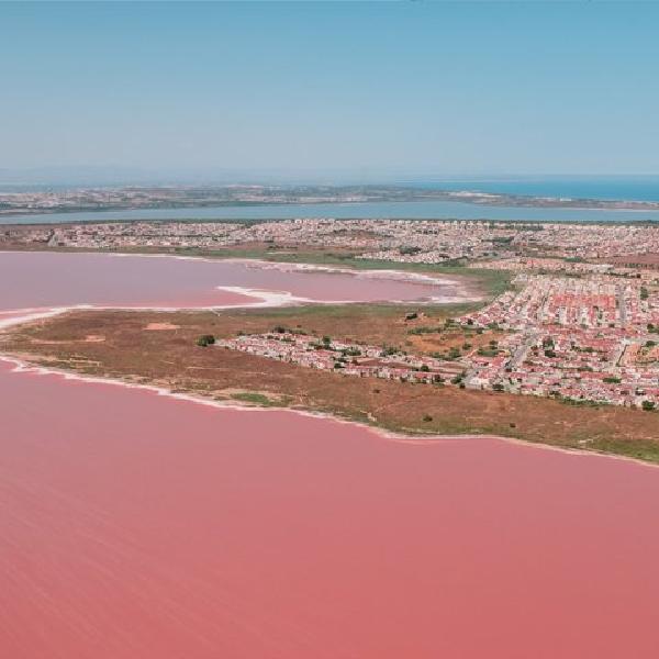 Excursión de un día al Lago Rosa y la Isla de Tabarca desde Torrevieja