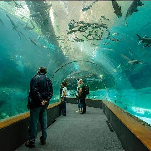 Gran Canaria Tour al Poema del Mar y Muelle de Las Palmas en Gran Canaria