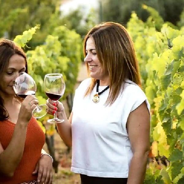 Cerca de Málaga : Viñedo Ecológico Mijas, 5 Vinos, 2 Aceites & Tapas en Málaga