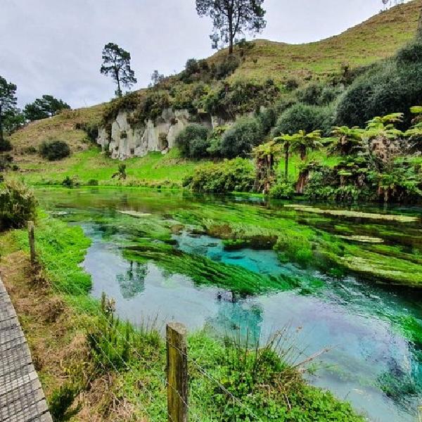 Hoteller i nærheden af Hobbiton Movie Set & Blue Springs - Small Group Tour
