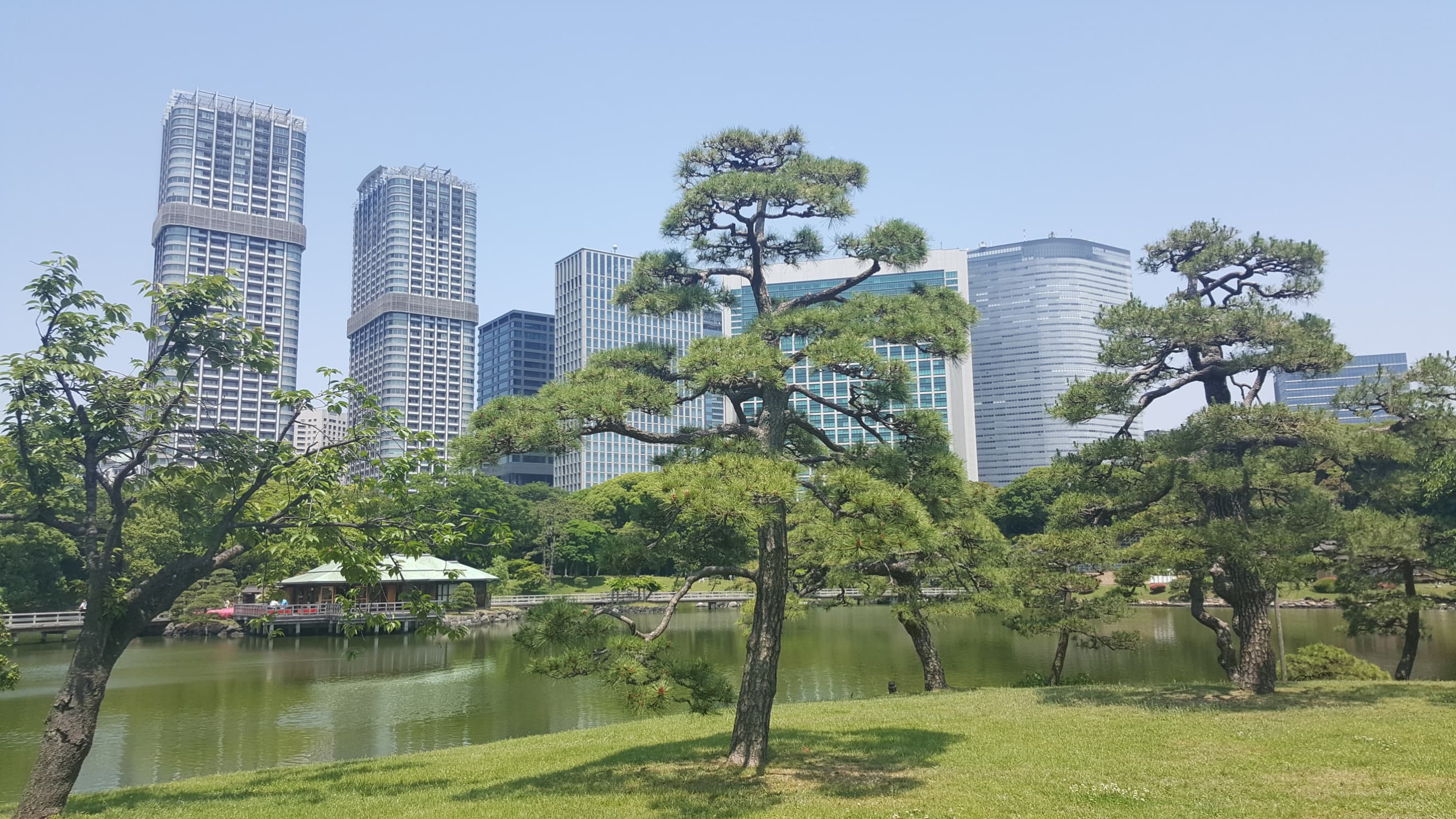 Giardini Hamarikyu vicino ai grattacieli di Shiodome a Tokyo