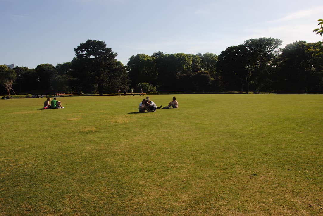 Prato inglese dei giardini imperiali di Tokyo