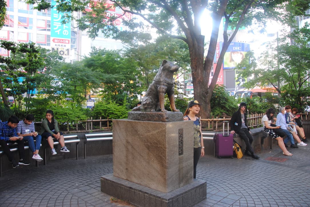 Statua di Hachiko a Tokyo