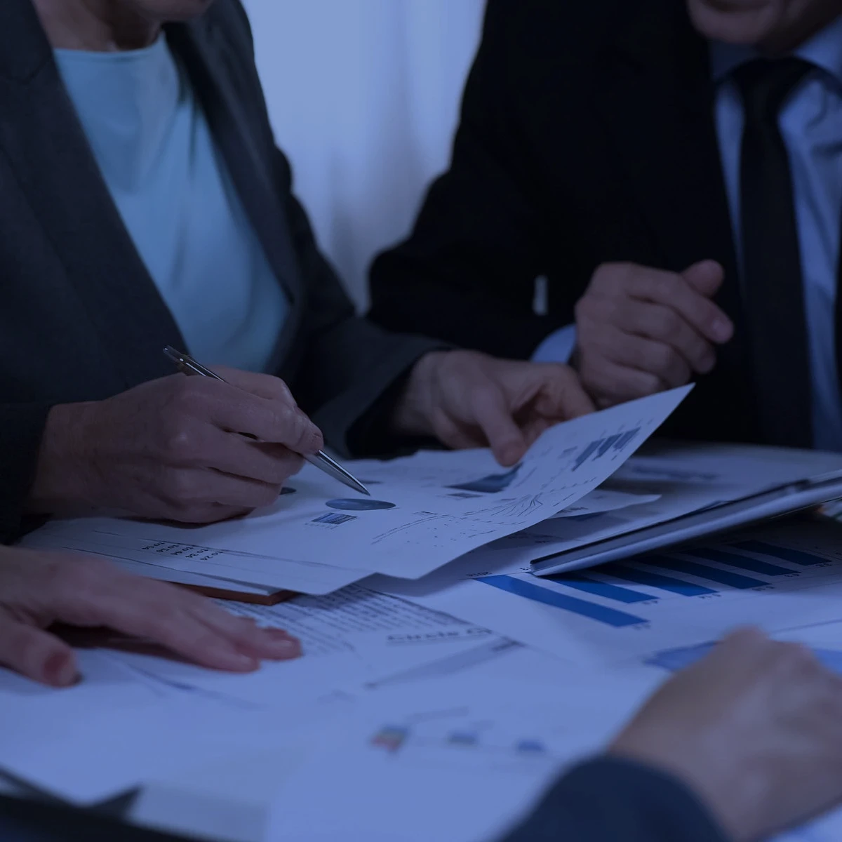Vérificateurs et auditeurs