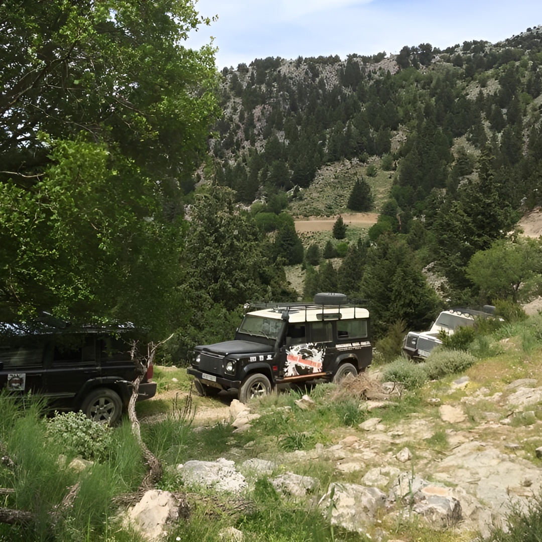 Kretas vin- og olivensafaritur fra Chania