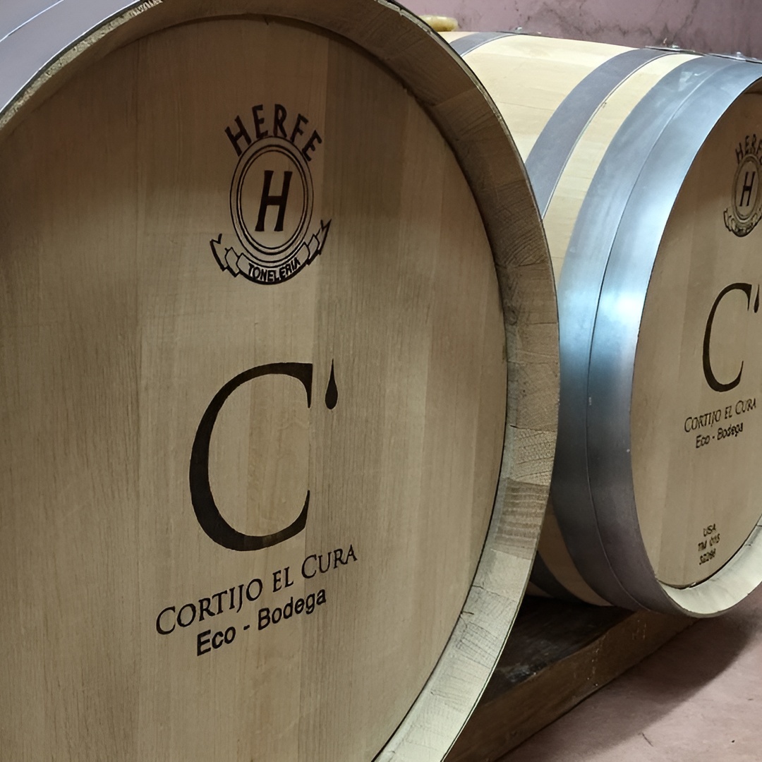 Almería Visita a Bodega Ecológica Cortijo El Cura y cata de vinos en Almería