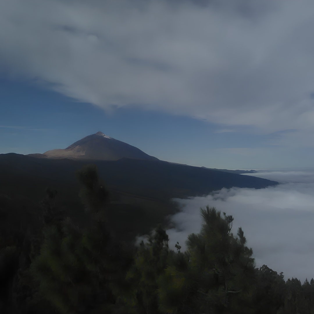 Parque Nacional del Teide y Norte de la Isla VIP TOUR en Tenerife