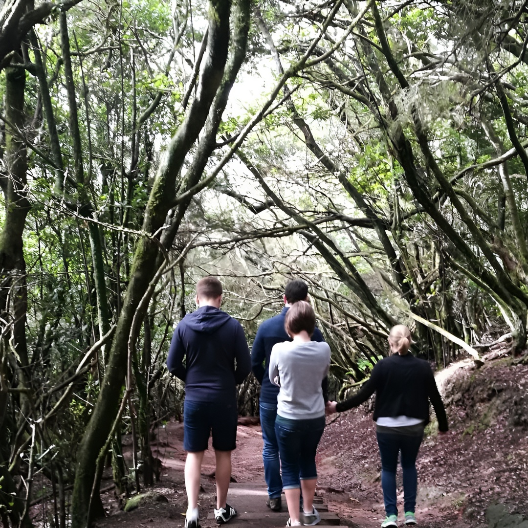 Tour de senderismo por las montañas de Anaga en Tenerife en Islas Canarias