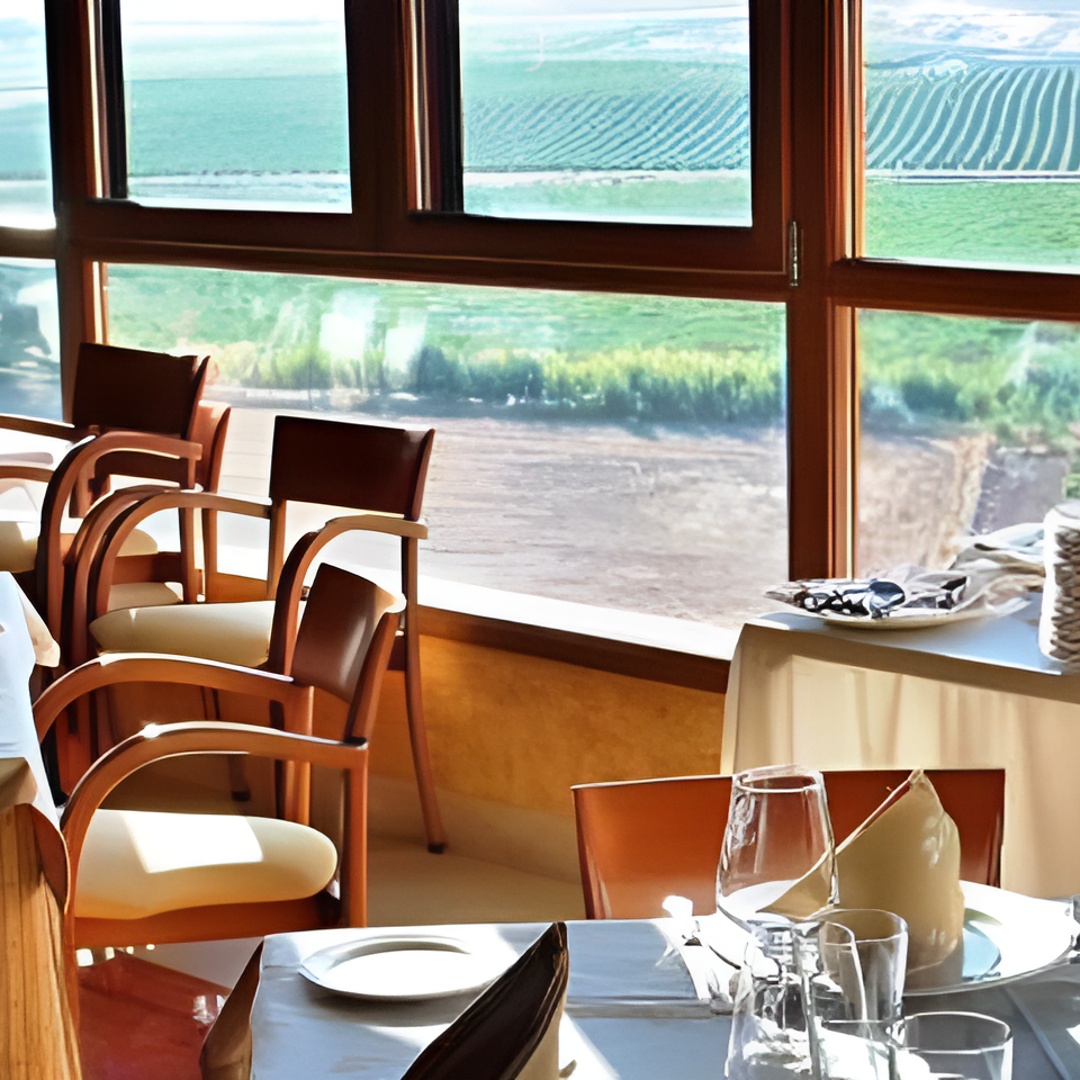 Recorrido de un día por bodegas desde Madrid