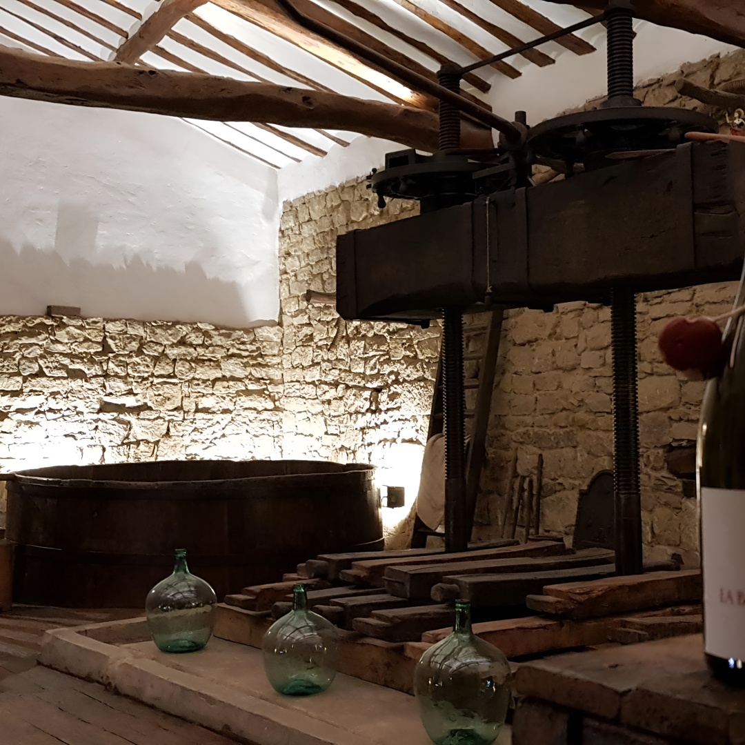 Visita una bodega del S XIX y su calado