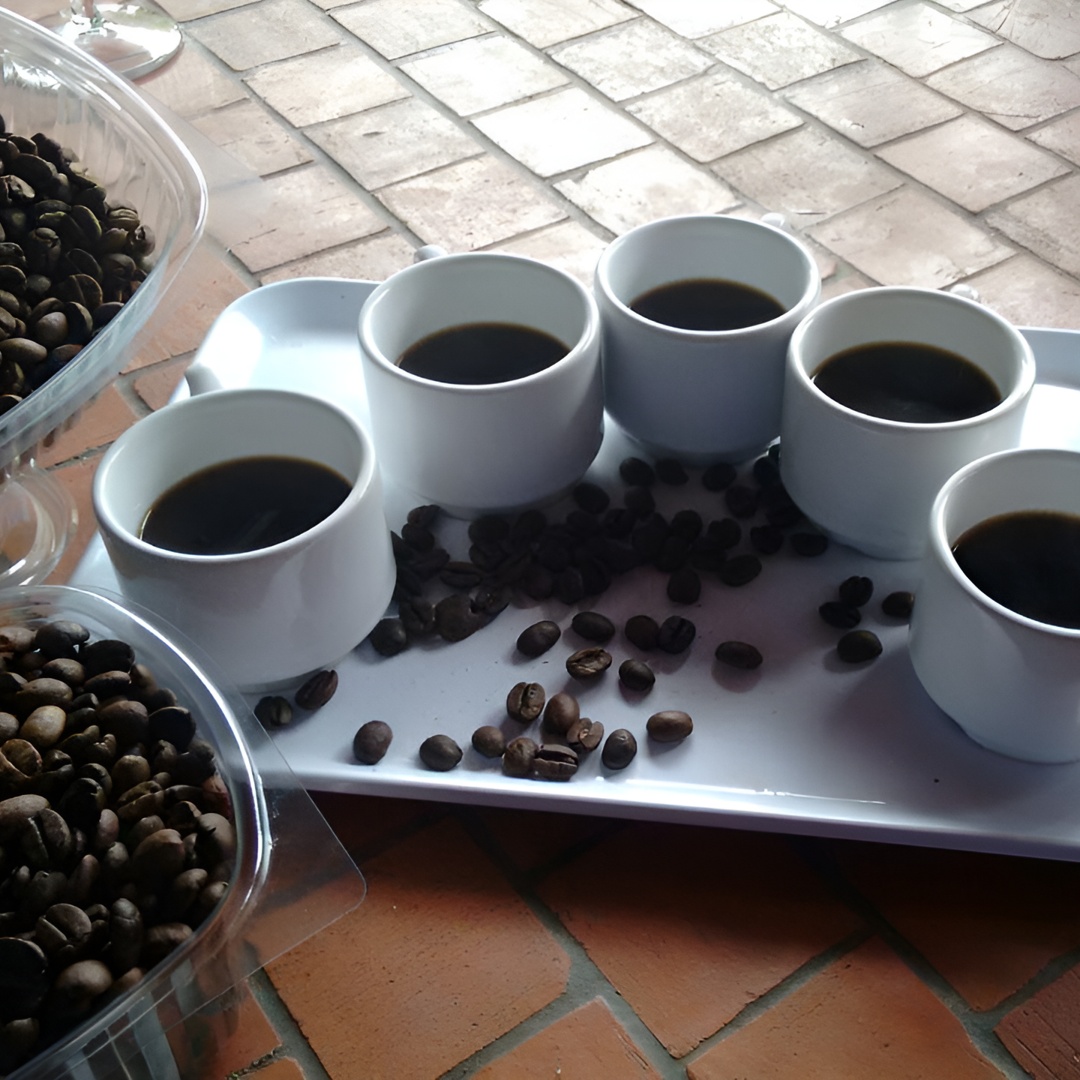 Café y vino: Ruta Norte de Gran Canaria Tour en Gran Canaria