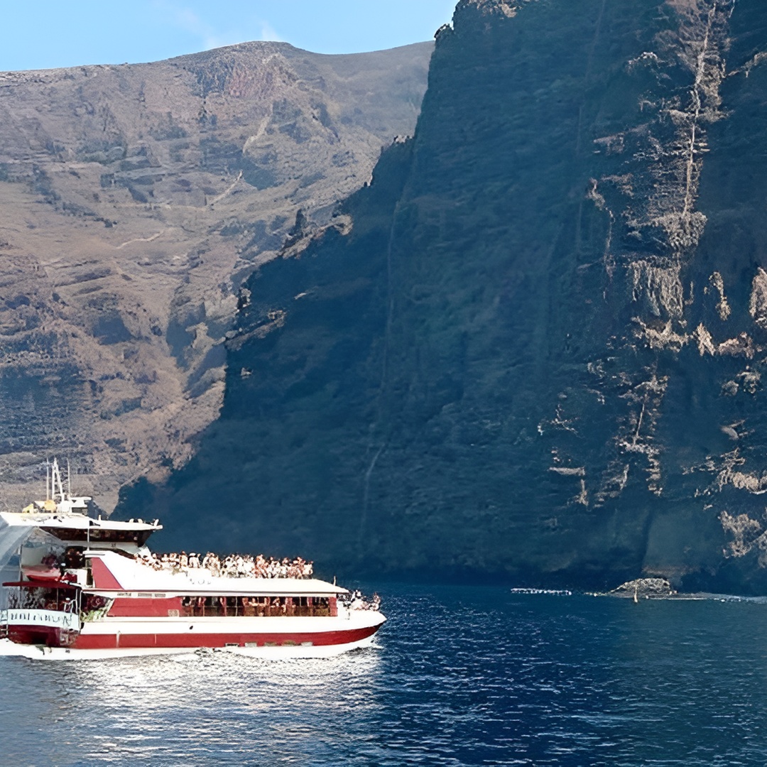4'5 - Excursión de observación de delfines y ballenas reales en Tenerife