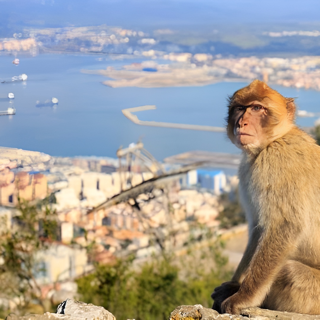 Tours exclusivos privados desde Málaga y Marbella a Gibraltar en Málaga